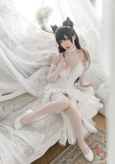 一级视频毛片