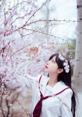 武藤绫香av在线看